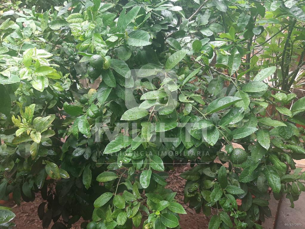 Casa, 3 quartos, 150 m² - Foto 11