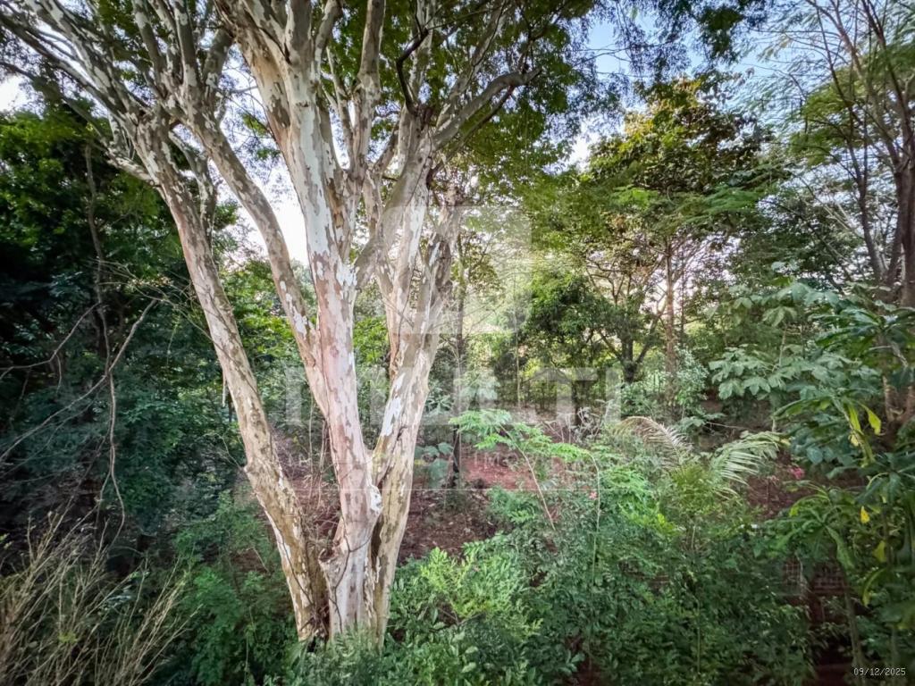 Casa de Condomínio, 4 quartos - Foto 12