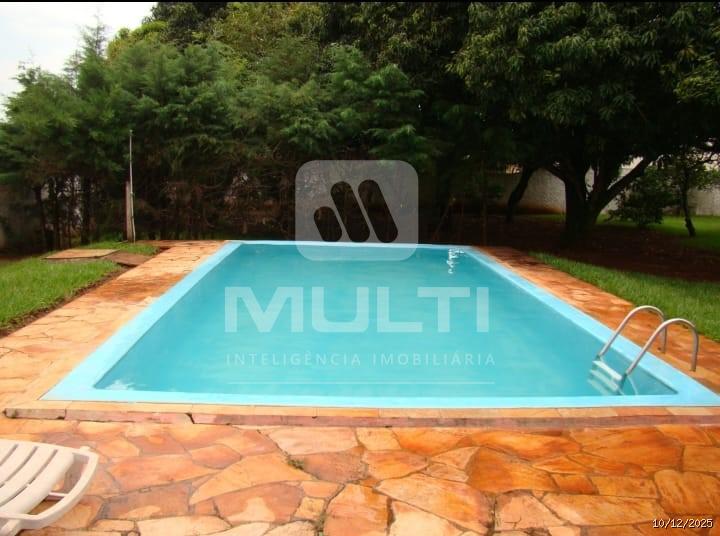 Casa, 4 quartos, 254 m² - Foto 6