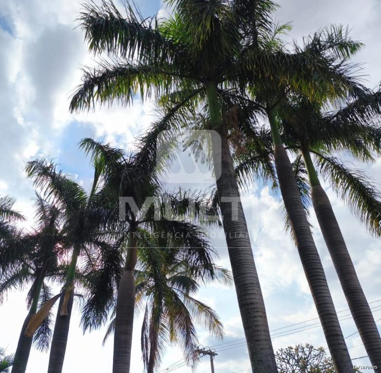 Casa, 4 quartos, 254 m² - Foto 7