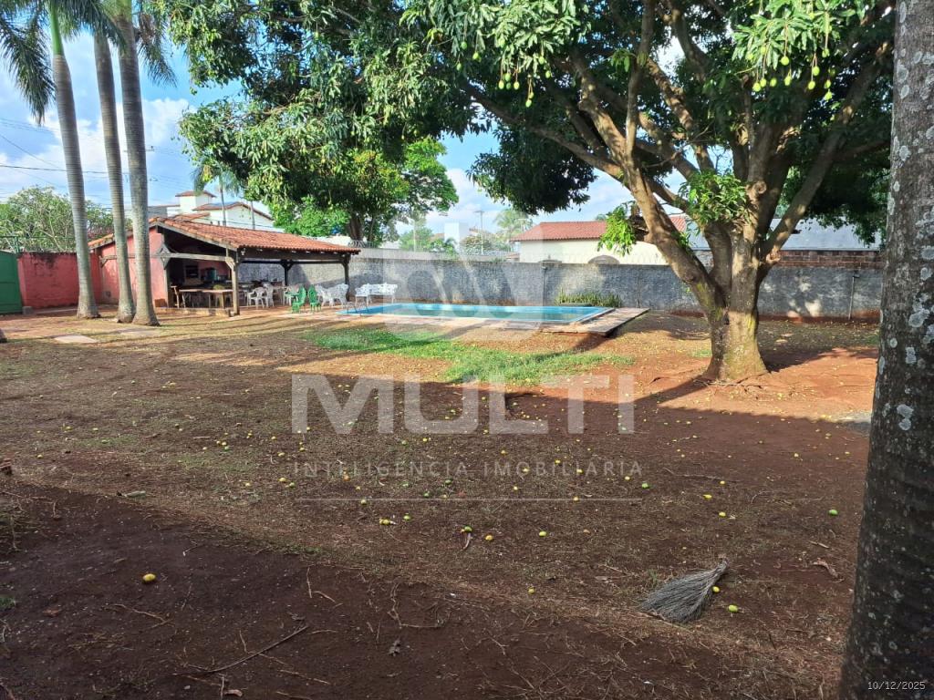 Casa, 4 quartos, 254 m² - Foto 11