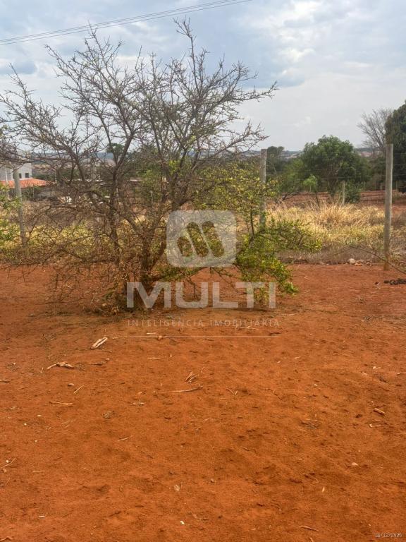 Chácara, 1 quarto - Foto 4