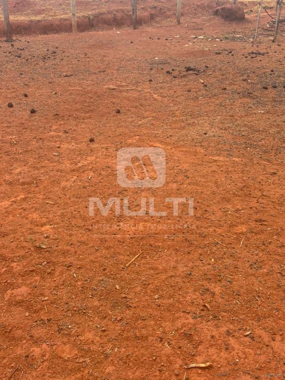 Chácara, 1 quarto - Foto 8