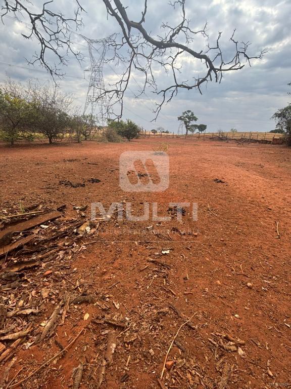 Chácara, 1 quarto - Foto 10