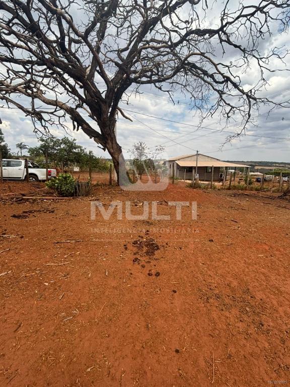 Chácara, 1 quarto - Foto 11