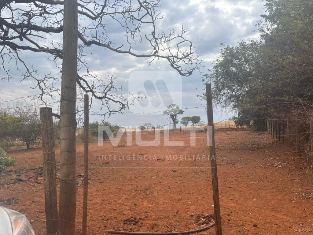 Chácara, 1 quarto - Foto 12