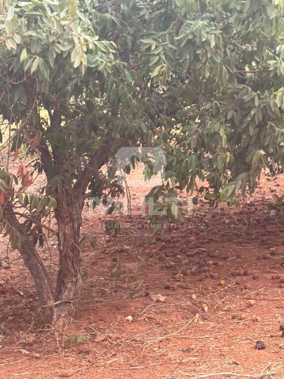 Chácara, 1 quarto - Foto 13