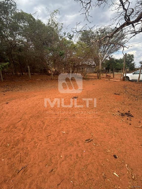 Chácara, 1 quarto - Foto 14