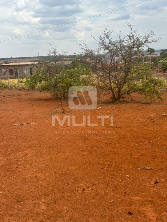 Chácara, 1 quarto - Foto 15