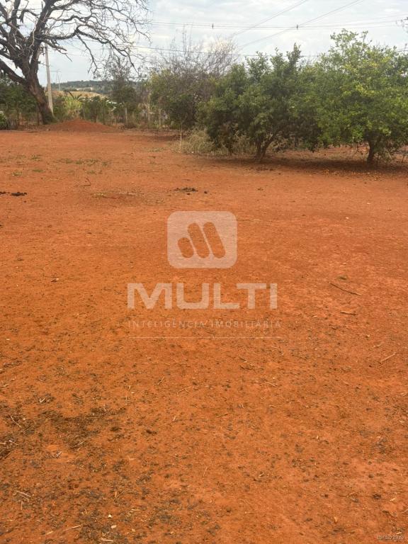 Chácara, 1 quarto - Foto 16