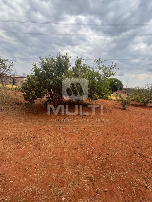 Chácara, 1 quarto - Foto 17