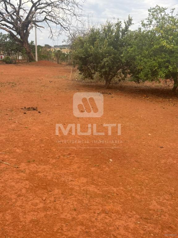 Chácara, 1 quarto - Foto 20