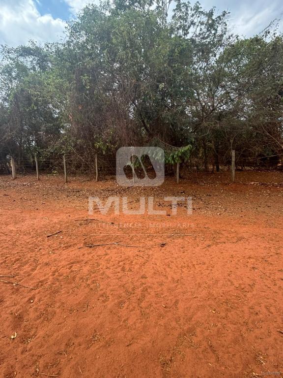 Chácara, 1 quarto - Foto 21