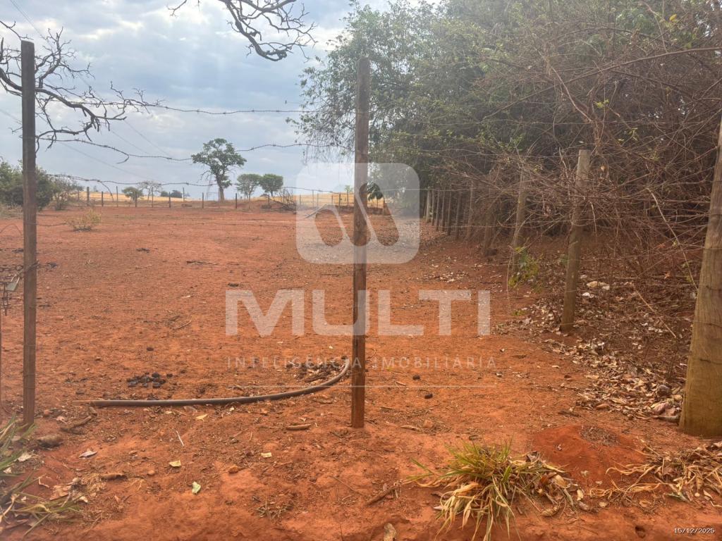 Chácara, 1 quarto - Foto 23