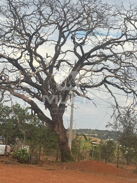 Chácara, 1 quarto - Foto 26