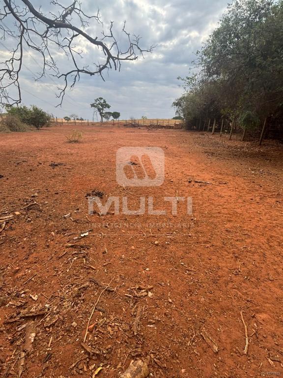 Chácara, 1 quarto - Foto 27