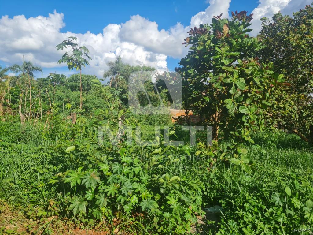 Terreno, 1000 m² - Foto 1