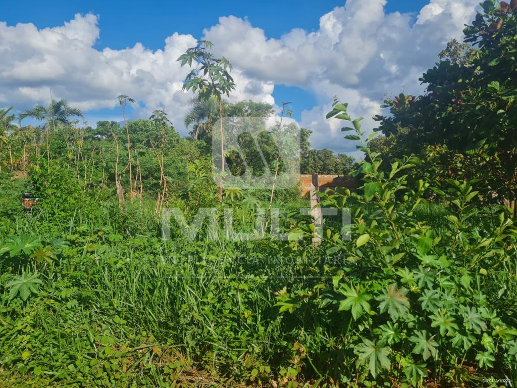 Terreno, 1000 m² - Foto 2