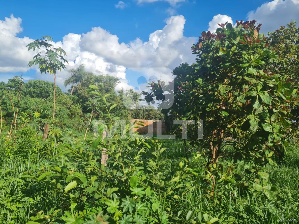 Terreno, 1000 m² - Foto 3