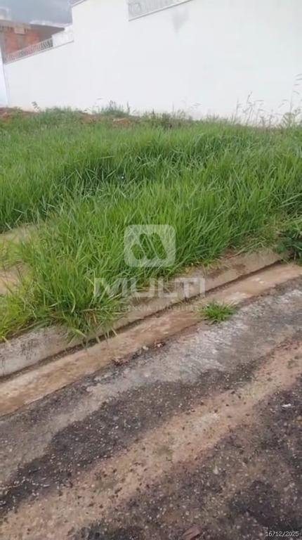 Terreno, 250 m² - Foto 1