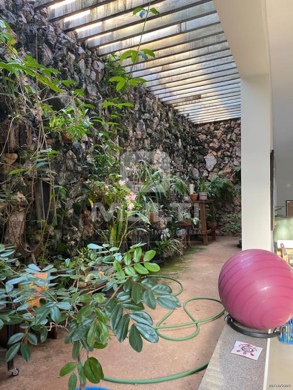 Casa, 4 quartos, 350 m² - Foto 19