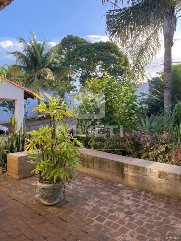 Casa, 4 quartos, 350 m² - Foto 20