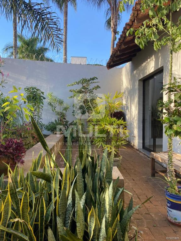 Casa, 4 quartos, 350 m² - Foto 21
