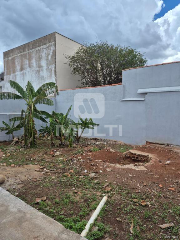 Casa, 3 quartos, 100 m² - Foto 11