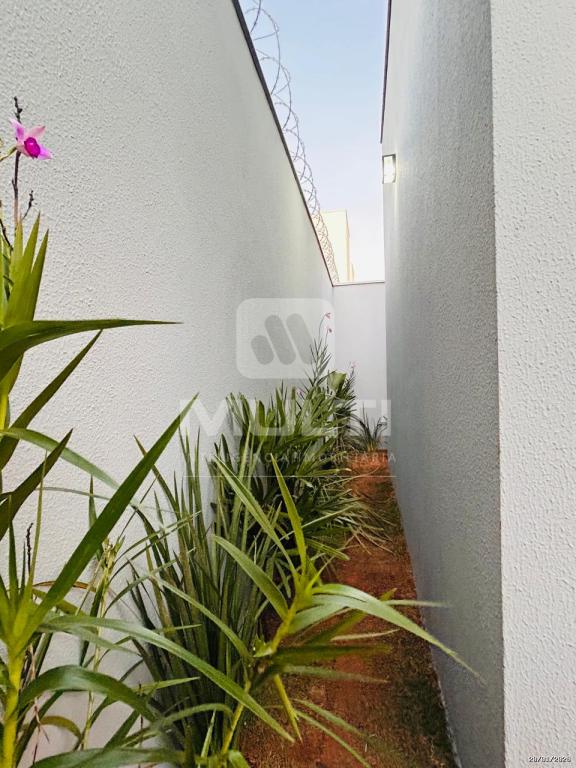 Casa, 3 quartos, 162 m² - Foto 19