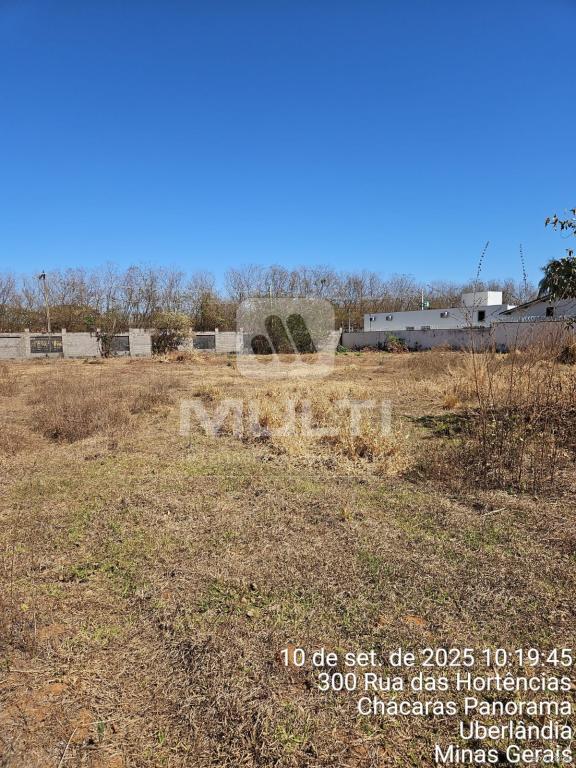 Chácara, 1 quarto - Foto 4