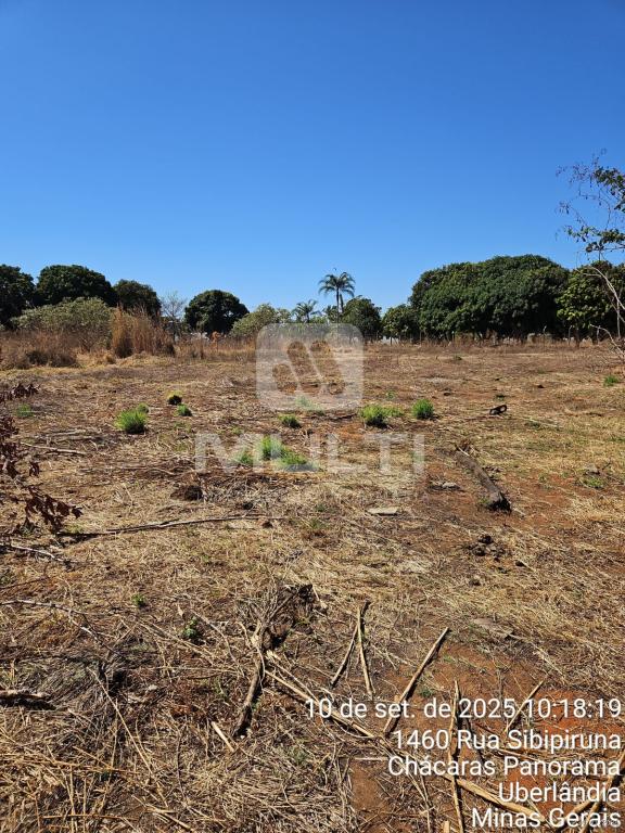 Chácara, 1 quarto - Foto 5