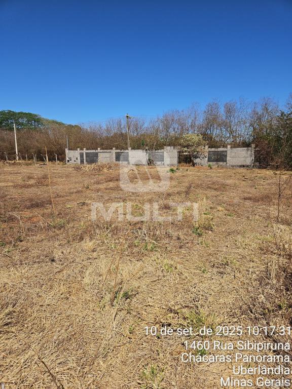 Chácara, 1 quarto - Foto 6