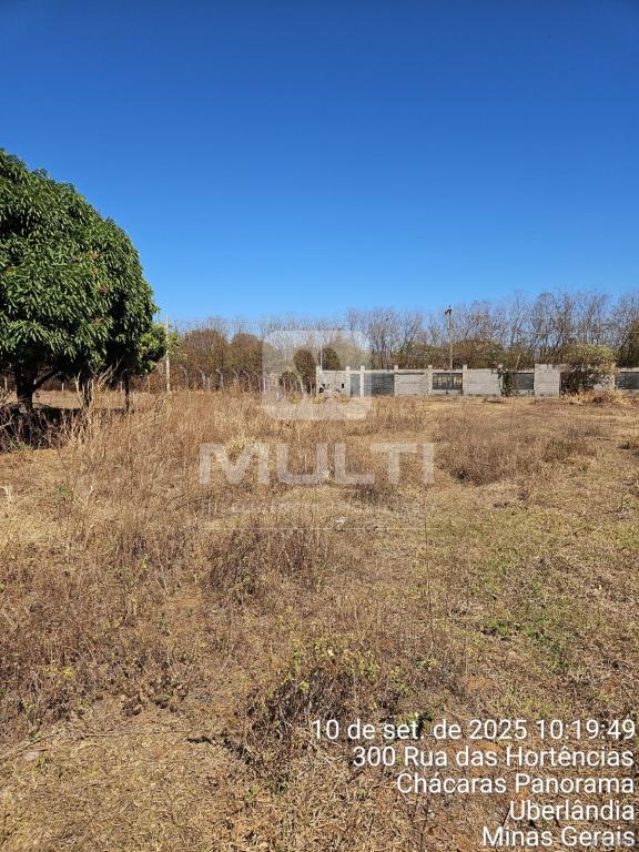 Chácara, 1 quarto - Foto 9