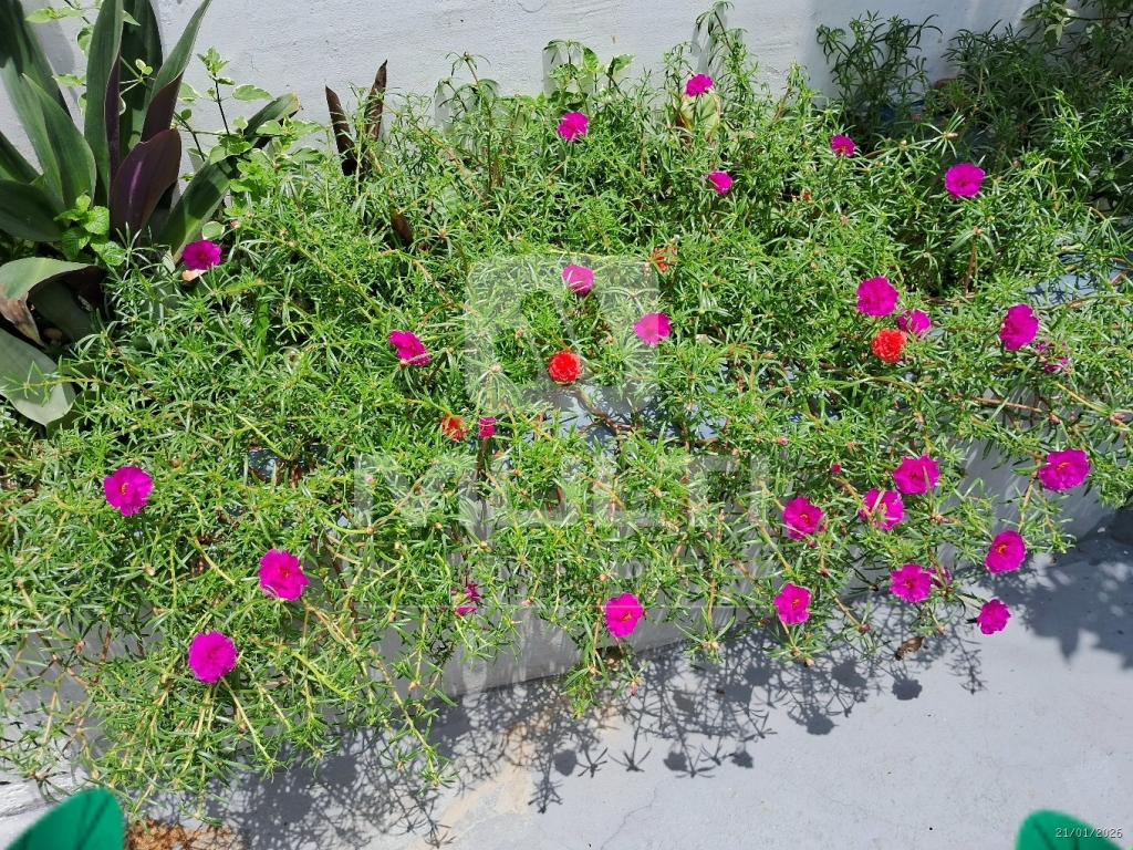 Casa, 3 quartos, 157 m² - Foto 23