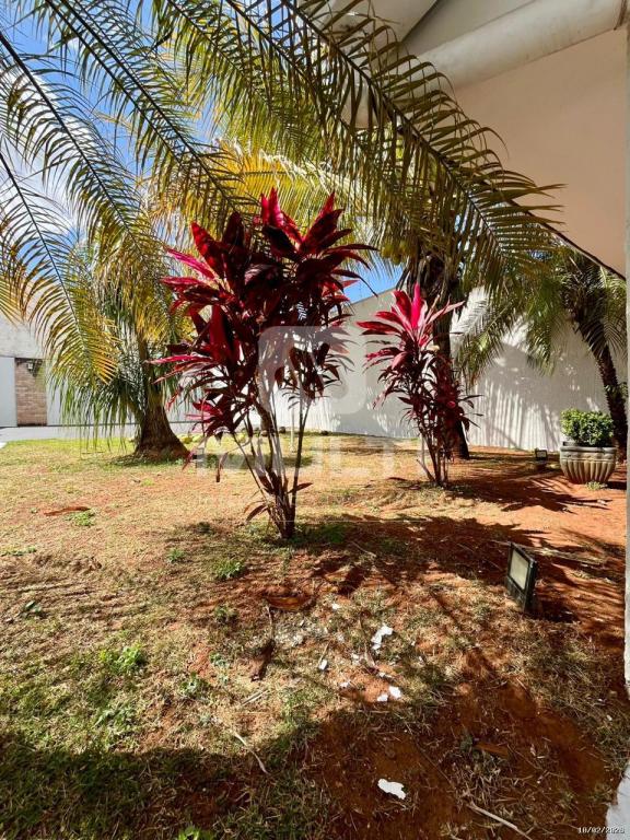 Casa, 3 quartos, 239 m² - Foto 6