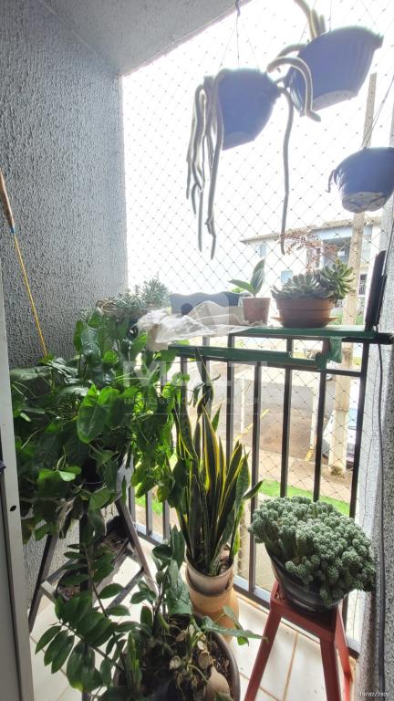 Apartamento, 2 quartos, 45 m² - Foto 7