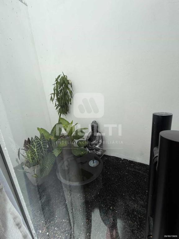Casa, 3 quartos, 76 m² - Foto 5