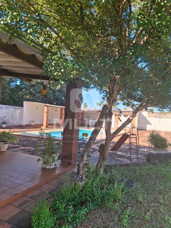 Casa, 3 quartos, 485 m² - Foto 6