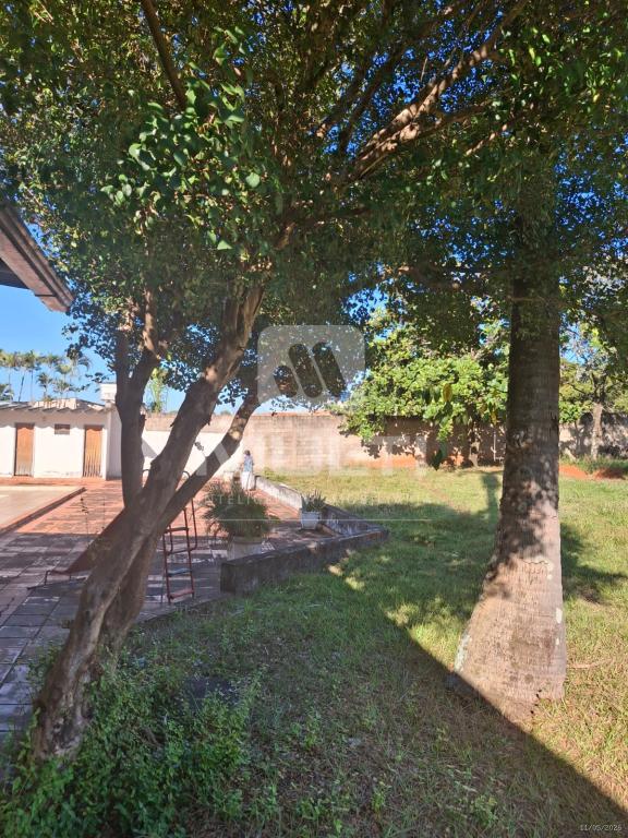 Casa, 3 quartos, 485 m² - Foto 27