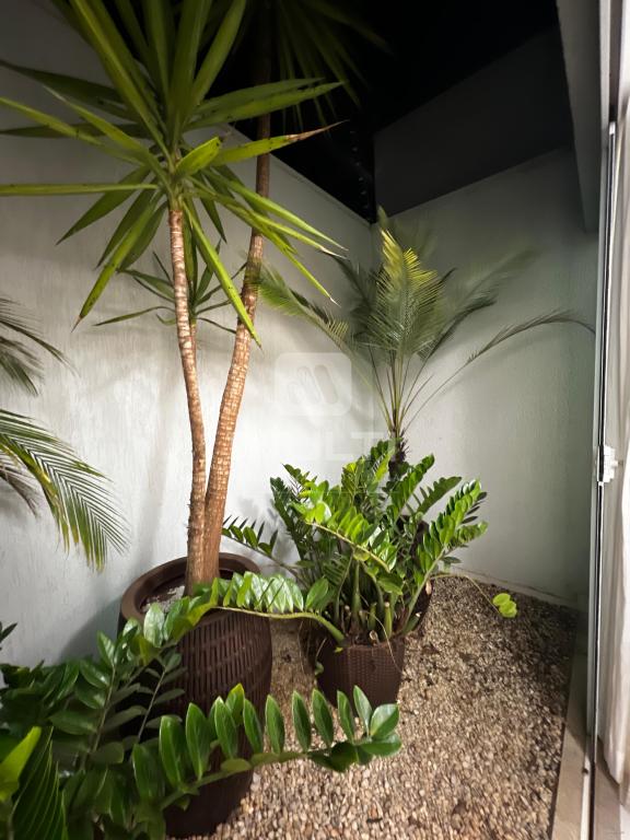 Casa, 3 quartos, 235 m² - Foto 8