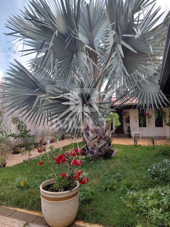Casa, 4 quartos, 230 m² - Foto 8