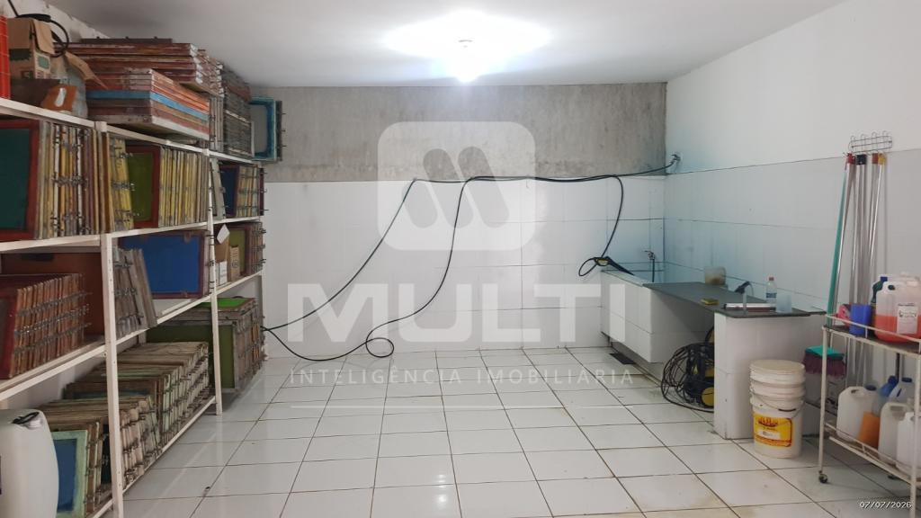 Casa, 1 quarto, 676 m² - Foto 5