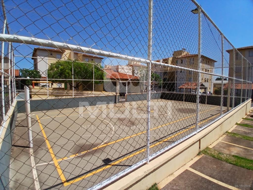 Apartamento, 3 quartos, 64 m² - Foto 27