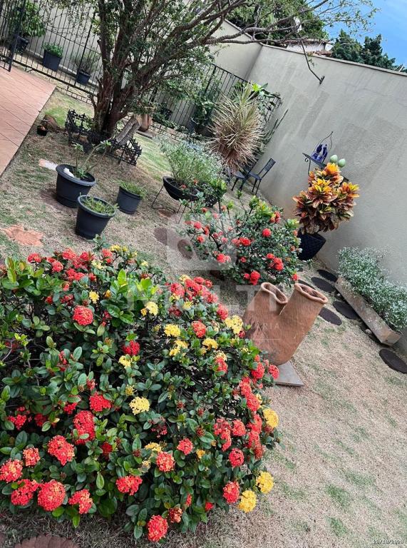 Casa, 3 quartos, 456 m² - Foto 4