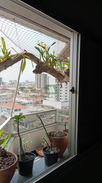 Cobertura à venda com 3 quartos, 162m² - Foto 23