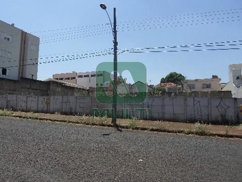 Terreno à venda com 1 quarto, 360m² - Foto 2