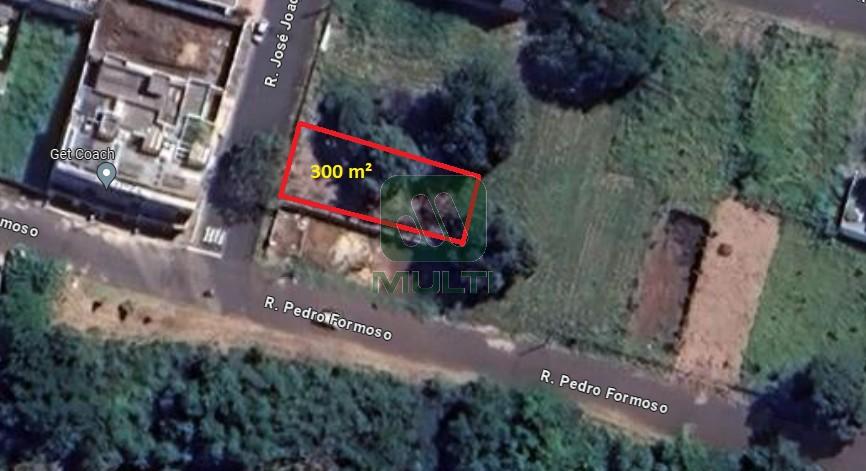 Terreno à venda com 1 quarto, 300m² - Foto 1