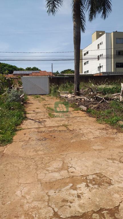 Fazenda à venda com 1 quarto, 120m² - Foto 1