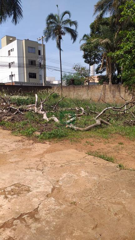 Fazenda à venda com 1 quarto, 120m² - Foto 4