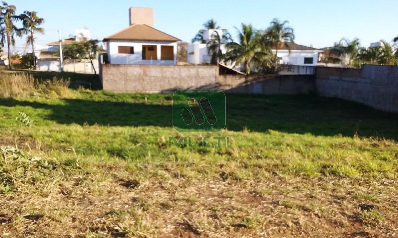 Terreno à venda com 1 quarto, 560m² - Foto 2